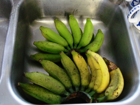 Hands of Bananas in Hilo